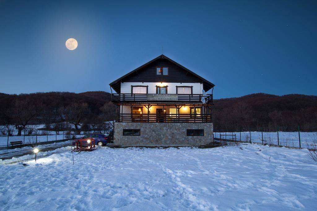 Hotel Casa Georgescu Râșnov Zewnętrze zdjęcie